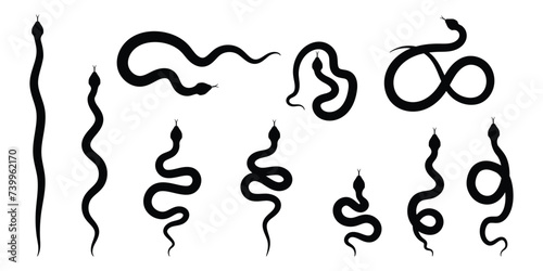 Snake on a white background. Collection of snake silhouettes in various forms. Top view of a snake for a danger warning sign design.