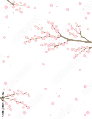 Cherry, apple, plum blossoms, fruit tree branches in bloom, pink spring flowers on transparent background, copy space. Flat style vector illustration. Design concept seasonal poster, banner, promotion