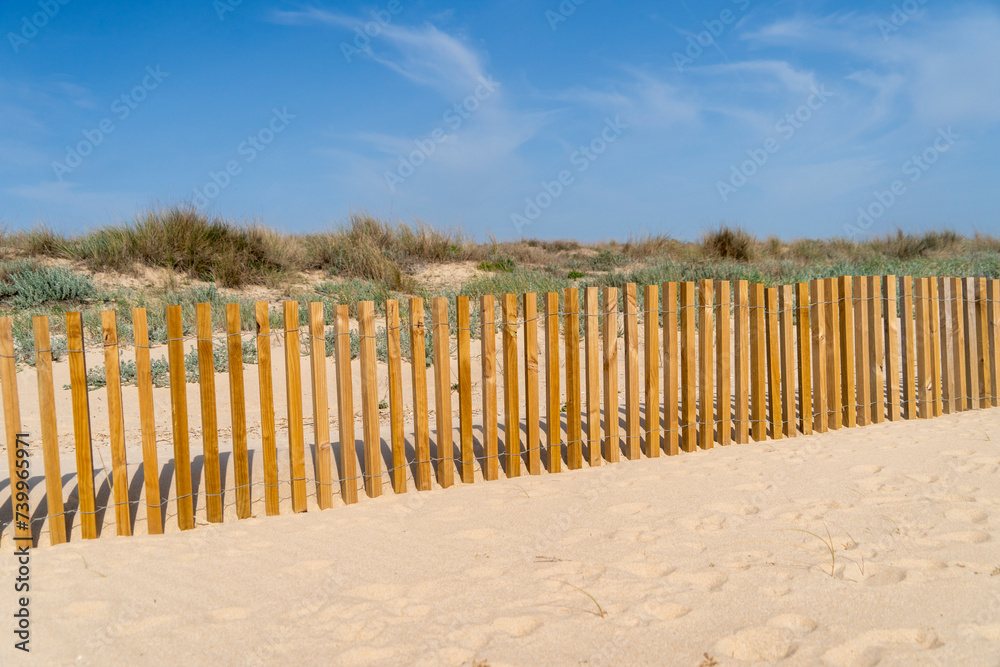 Beach sand fencing with wood and sea grass, dune construction and ...
