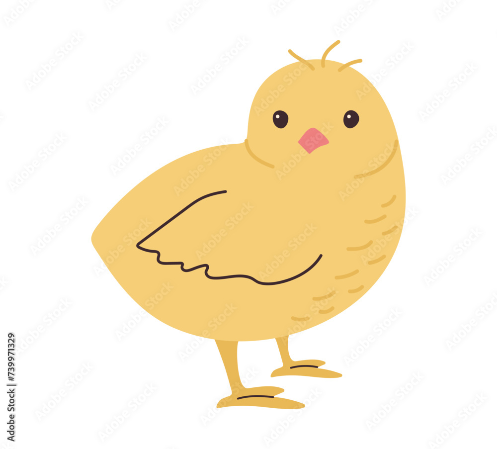 Cute hand drawn Chick isolated on white background. Simple illustration of little baby chicken. Yellow homestead bird with bangs in doodle style. Children's minimalist creativity Cute hand drawn Chick isolated on white background. Simple illustration of little baby chicken. Yellow homestead bird with bangs in doodle style. Children's minimalist creativity