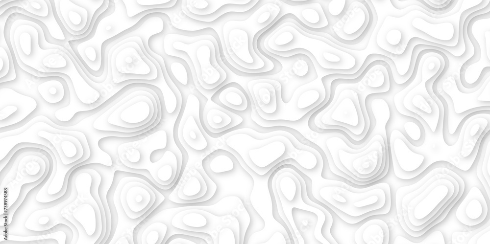 Abstract geometric layered curve line white background. 3d white papercut topography relief. Cover layout template. paper cut topography soft background banner texture. light liquid wave illustration Abstract geometric layered curve line white background. 3d white papercut topography relief. Cover layout template. paper cut topography soft background banner texture. light liquid wave illustration