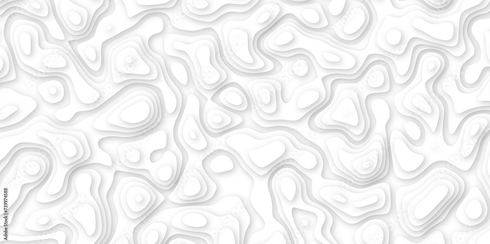  Abstract geometric layered curve line white background. 3d white papercut topography relief. Cover layout template. paper cut topography soft background banner texture. light liquid wave illustration