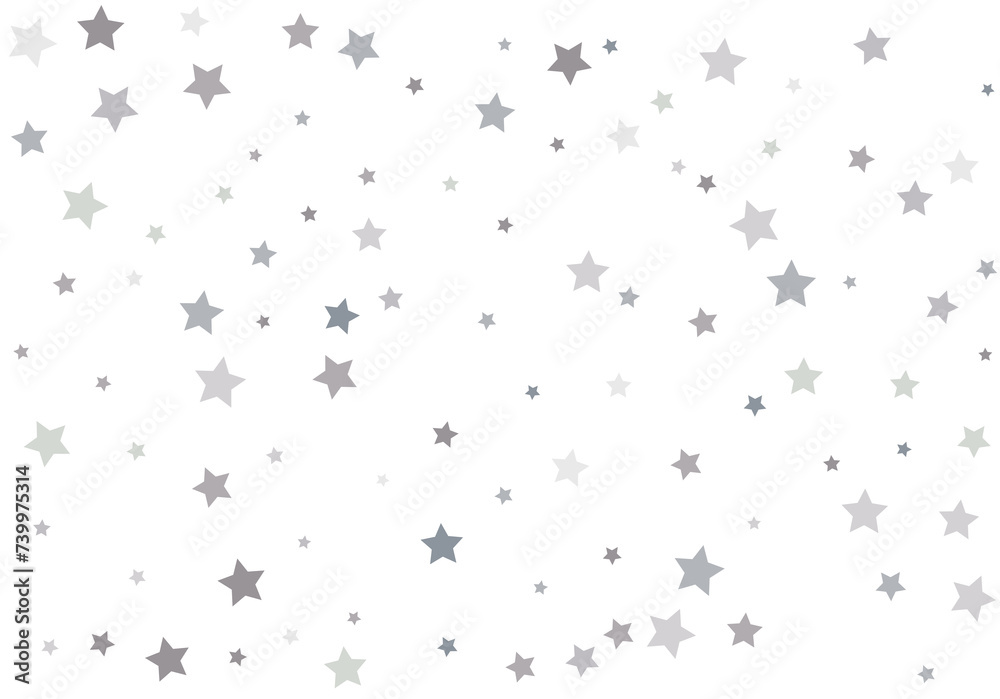Bouquet of Silver Stars Bouquet of Silver Stars