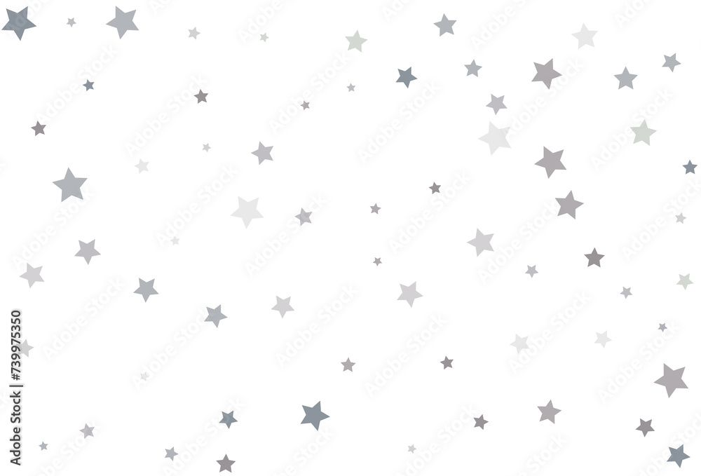 Bouquet of Silver Stars Bouquet of Silver Stars