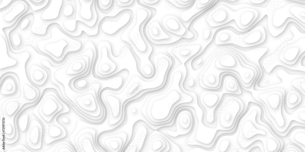  Abstract geometric layered curve line white background. 3d white papercut topography relief. Cover layout template. paper cut topography soft background banner texture. light liquid wave illustration