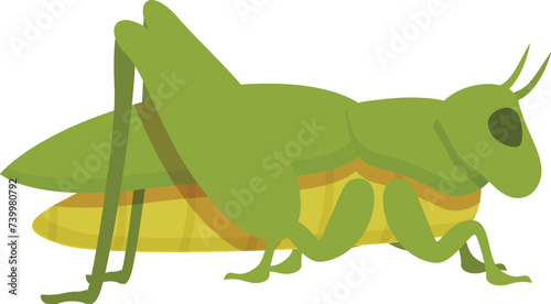 Green grasshopper icon cartoon vector. Nature insect. Figure natural