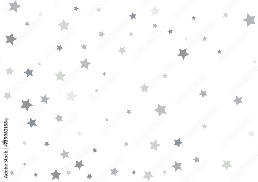 Bouquet of Silver Stars Bouquet of Silver Stars