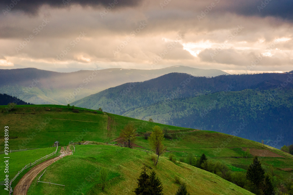 mountainous countryside scenery of ukraine in spring. path through carpathian rural landscape with rolling hills and grassy meadows in evening light
