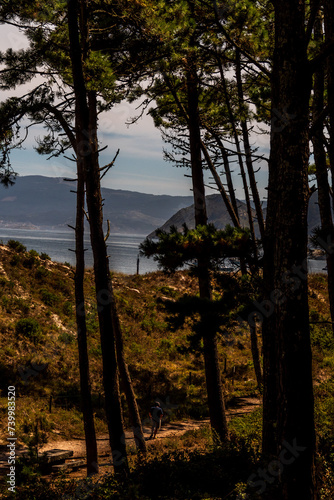 Flora en las Islas Cíes, Galicia. © CarlosHerreros