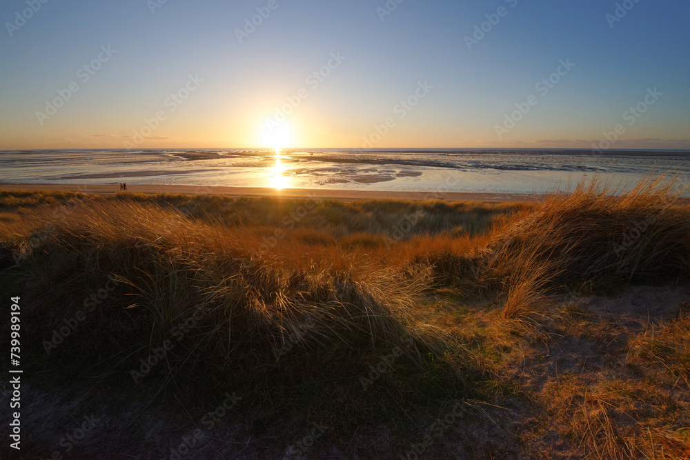 Fototapeta premium Sand dunes and beach of Annoville in Cotentin coast
