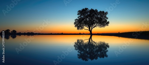 A triumphant tree silhouette is reflected in the still water of an enchanting evening lake  creating a mesmerizing scene.