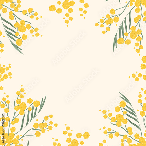 Mimosa flower. Spring 2024. Vector drawing of spring flower. isolated object on white background. postcard . Spring Festival. the first delicate flowers of spring. Square background with yellow flower