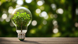 Green tree in lightbulb on the wooden table and green bokeh background. global warming, carbon credit.