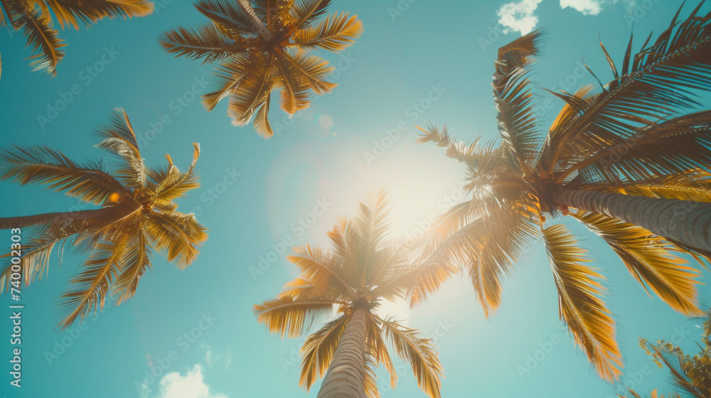 Looking up blue sky and palm trees. Travel vacation concept. 