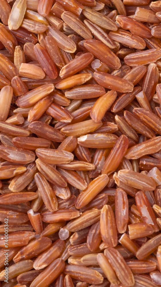Vertical video. Closeup, top view of whole grain red rice. Food backdrop Vertical video. Closeup, top view of whole grain red rice. Food backdrop