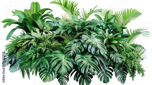 Green Leaves of Tropical Plants Bush Monstera

