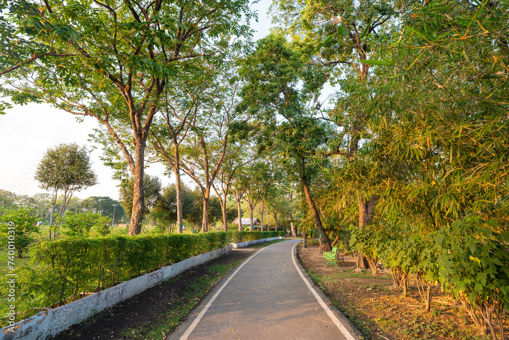 Obraz premium City park pathway tropical forest sunset sky