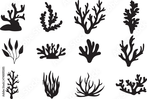 Set of isolated corals and algae in high HD resolution. Underwater flora, fauna and seaweeds. Coral reef underwater plants. Aquarium alga set, ocean water plants, sea starfish residence. High quality.