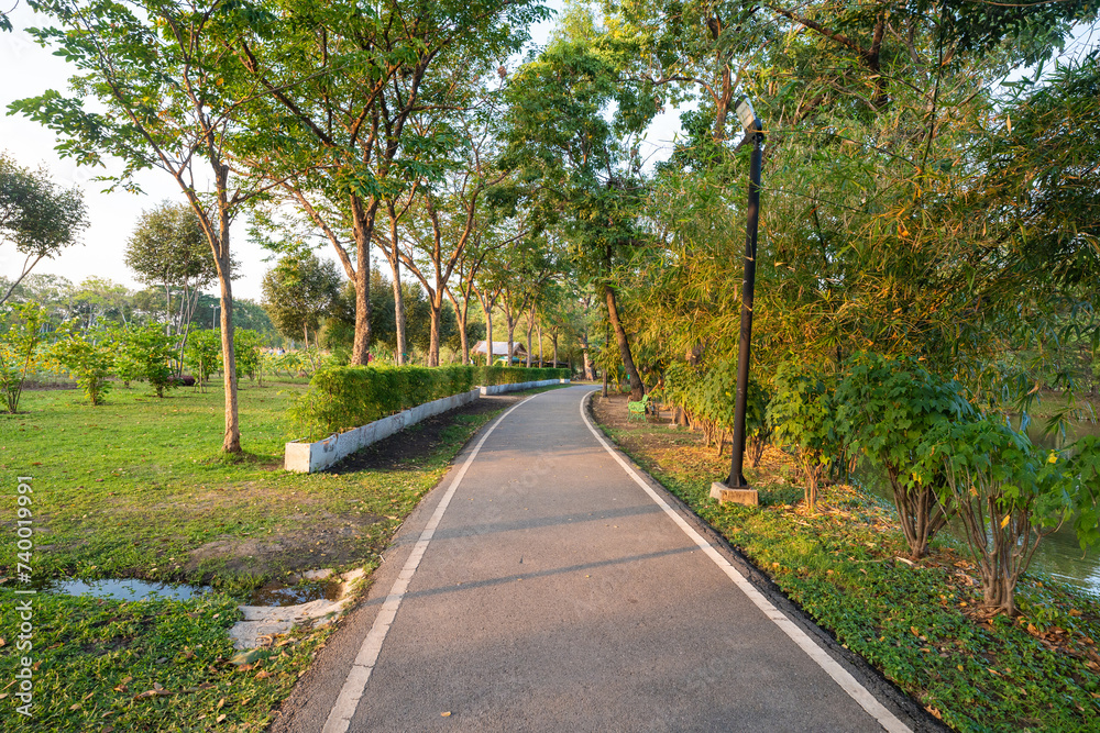 City park pathway tropical forest sunset sky City park pathway tropical forest sunset sky
