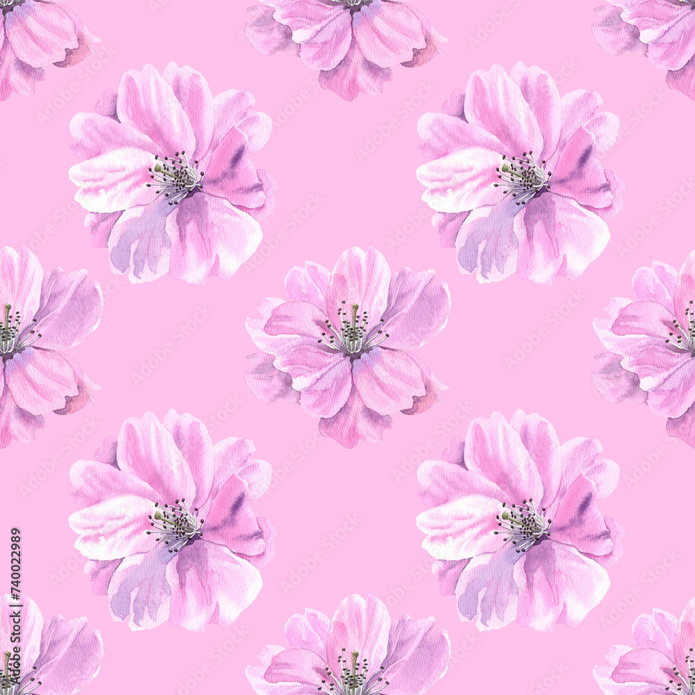 Watercolour Sakura spring flowers illustration seamless pattern. Seasonal Cherry blossom. On pink background. Hand-painted. Botanical Floral elements.For interior print decoration, fabric, wrapping. Watercolour Sakura spring flowers illustration seamless pattern. Seasonal Cherry blossom. On pink background. Hand-painted. Botanical Floral elements.For interior print decoration, fabric, wrapping.