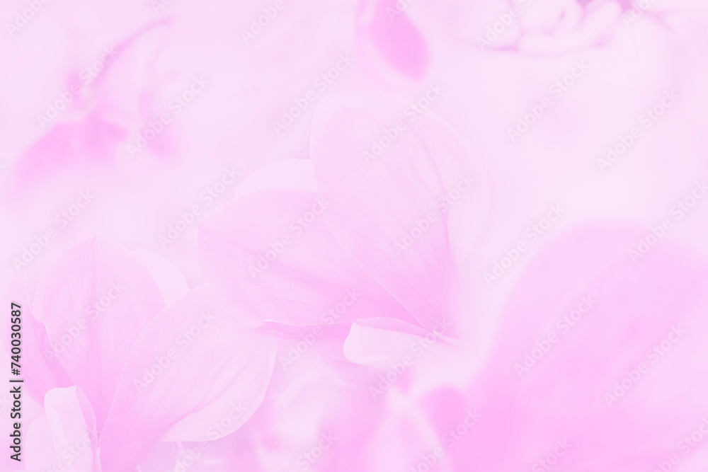 Very Delicate light blurred abstract floral background in pink tones. The background
