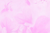 Very Delicate light blurred abstract floral background in pink tones. The background

