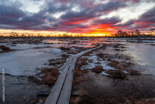 sunrise at the bog