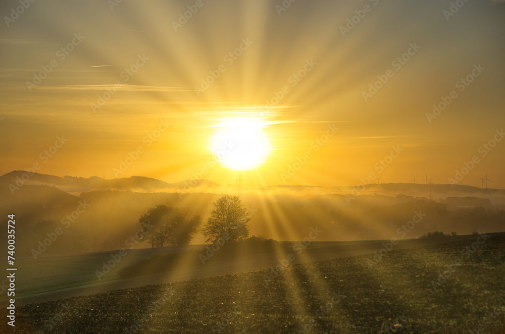 Obraz premium Sonnenaufgang im Nebel