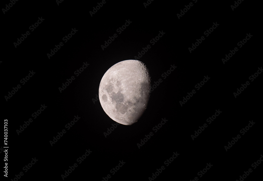 moon in the night moon in the night