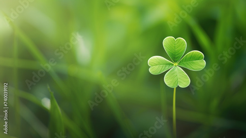 Clover leaf on green background. St.Patrick's Day 
