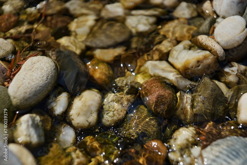 Fényképezés stones in a riverbed