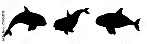 Set of orcas black silhouettes. Template with funny animals. Template for kids to cut out and stick on. photo