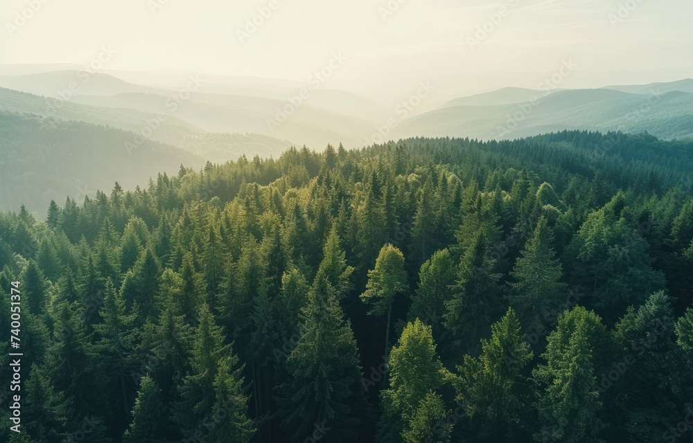 aerial view of green forests in the mountains with mountains and clear sky aerial view of green forests in the mountains with mountains and clear sky
