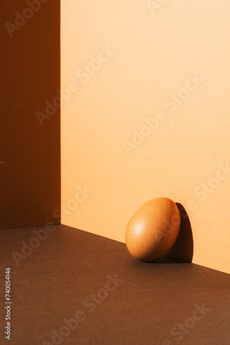 One brown egg on brown and beige background