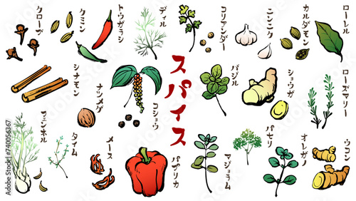 胡椒、クローブ、バジル、シナモンなどスパイス22種類の和風ベクターイラストセット（カラー）。