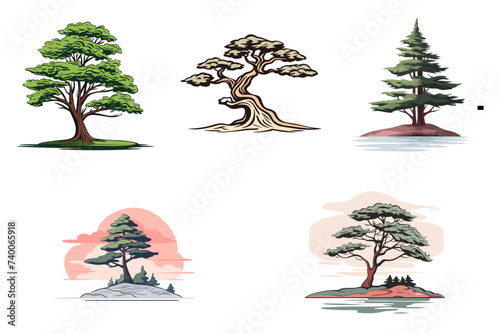 set of cypress trees  vector illustration isolated transparent background logo, cut out or cutout t-shirt print design photo