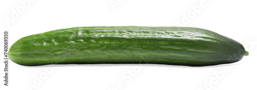 One long fresh cucumber isolated on white