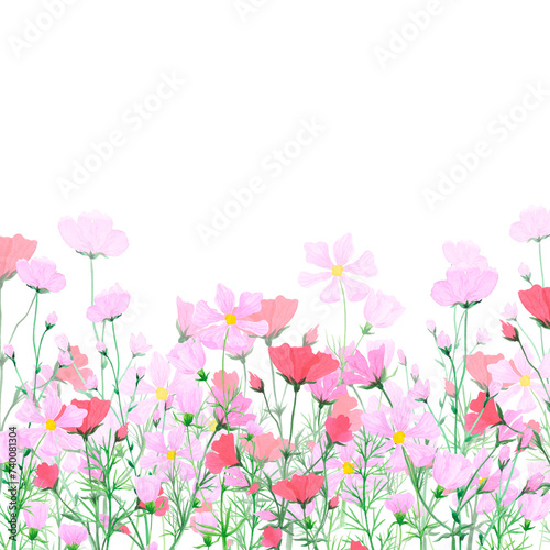 Hand drawn watercolor daisy wildflowers frame border isolated on white background. Can be used for cards, invitation, poster and other printed products. © Aleksandra Shvetsova