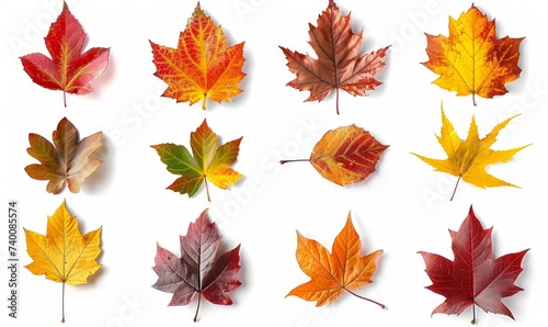 Set and collection of beautiful autumn leaves isolated on white background with clipping path. Full Depth of field. Focus stacking. PNG. Generative AI technology, Generative AI