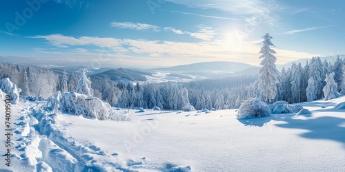 Stunning panorama of snowy landscape in winter in Black Forest. winter wonderland, Generative AI © Planetary Artist