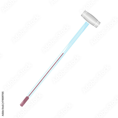 Sommelier Wine Thermometer 