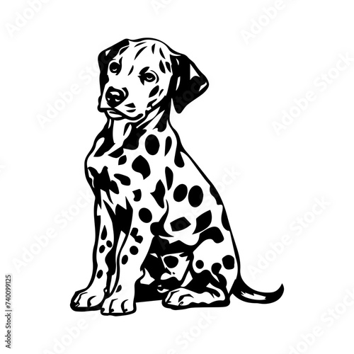 Dalmatian black silhouette logo svg vector, Dalmatian icon illustration
