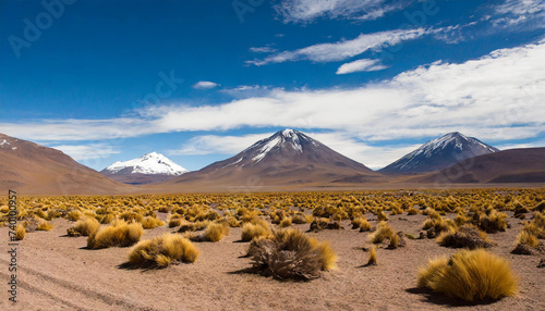 Altiplano near Copiapo  Chile