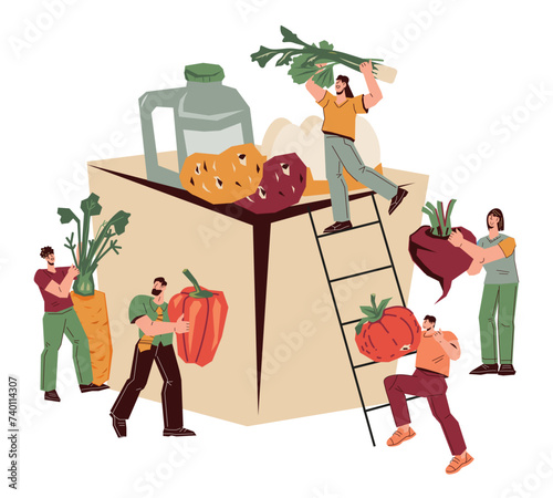 Volunteers filling food donation box, flat vector illustration isolated on white background. Food donation and social support.