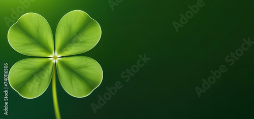 Clover four leaves on solid green background symbol floral spring leaves Patric good luck plant herbal green photo