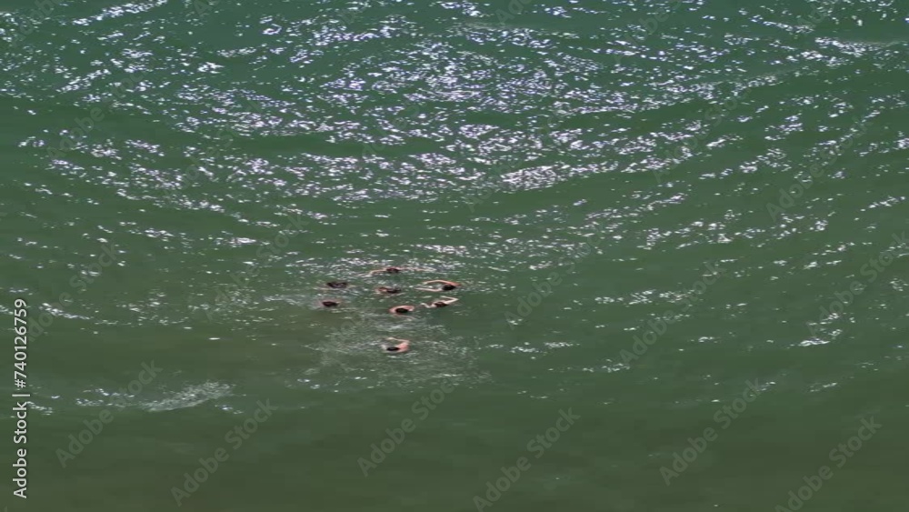 drone. video verticale. persone nuotano in mare. Drone si alza e svela spiaggia
