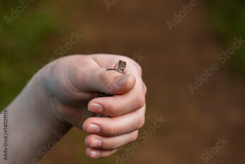 Εκτύπωση καμβά holding a baby lizard
