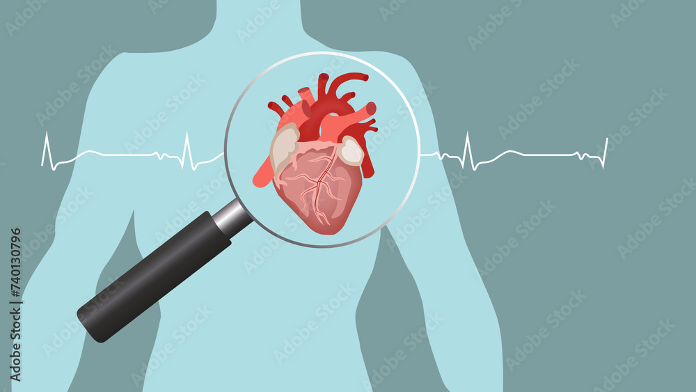 Αυτοκόλλητο the human heart under a magnifying glass