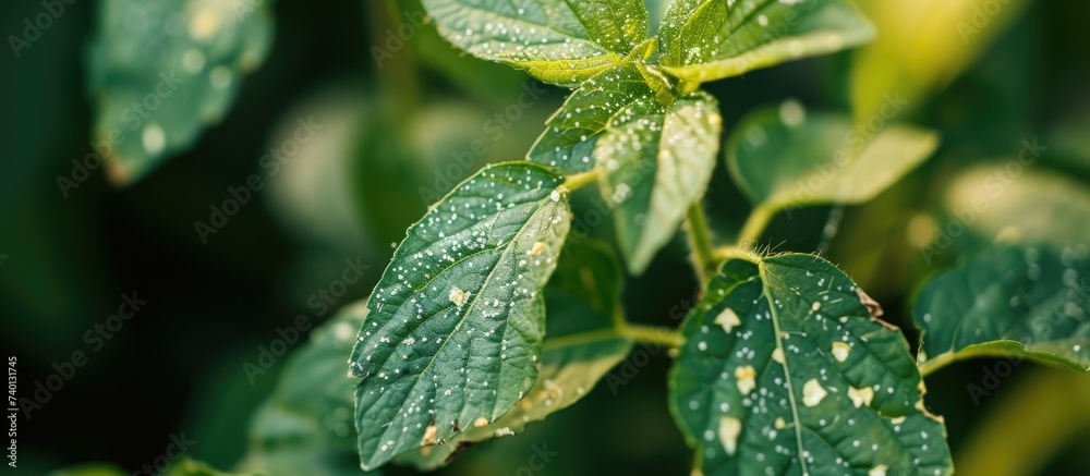This close-up photo captures the intricate details of a leaf, adorned with glistening water droplets. This close-up photo captures the intricate details of a leaf, adorned with glistening water droplets.