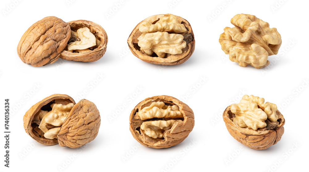 Walnut on white background